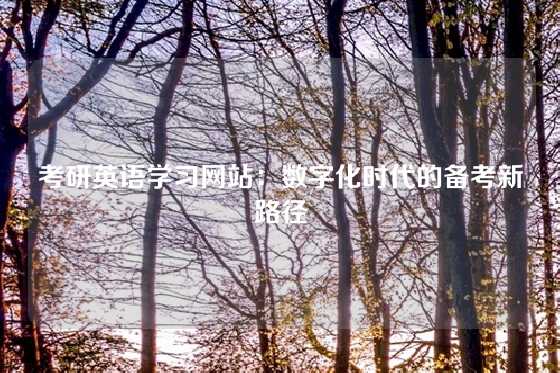 考研英语学习网站：数字化时代的备考新路径