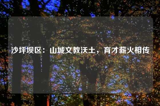 沙坪坝区：山城文教沃土，育才薪火相传