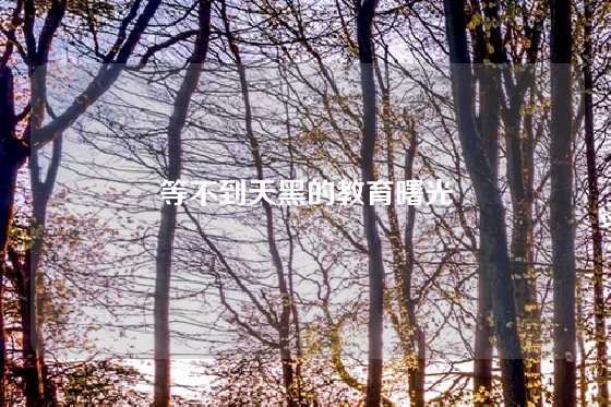 等不到天黑的教育曙光