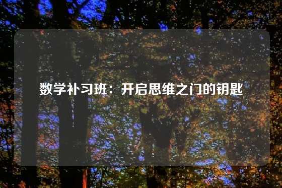 数学补习班：开启思维之门的钥匙