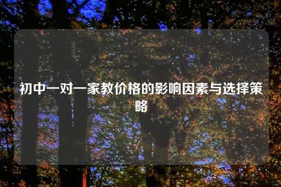 初中一对一家教价格的影响因素与选择策略