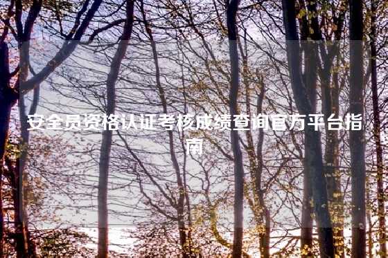 安全员资格认证考核成绩查询官方平台指南