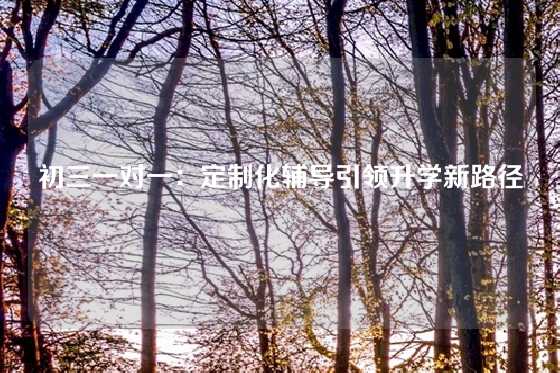 初三一对一：定制化辅导引领升学新路径