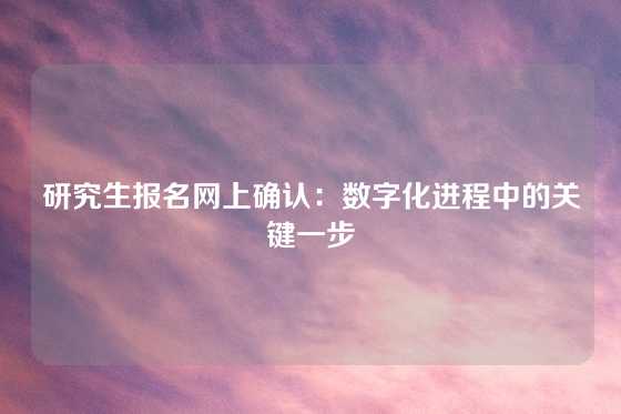 研究生报名网上确认：数字化进程中的关键一步
