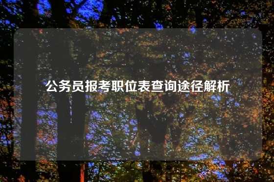公务员报考职位表查询途径解析
