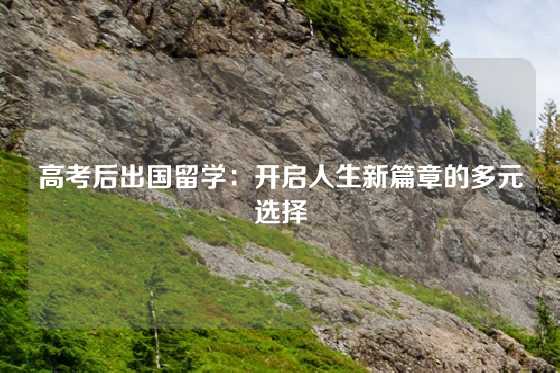 高考后出国留学：开启人生新篇章的多元选择