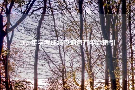 2020年学考成绩查询官方平台指引