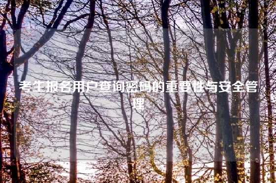 考生报名用户查询密码的重要性与安全管理