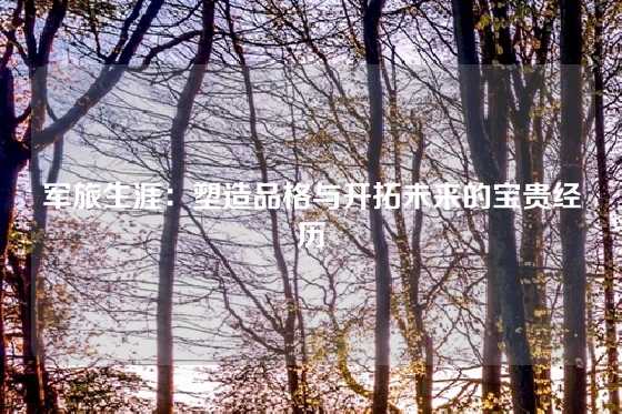 军旅生涯：塑造品格与开拓未来的宝贵经历