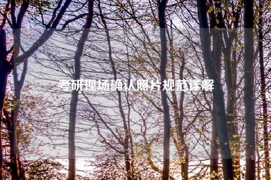 考研现场确认照片规范详解