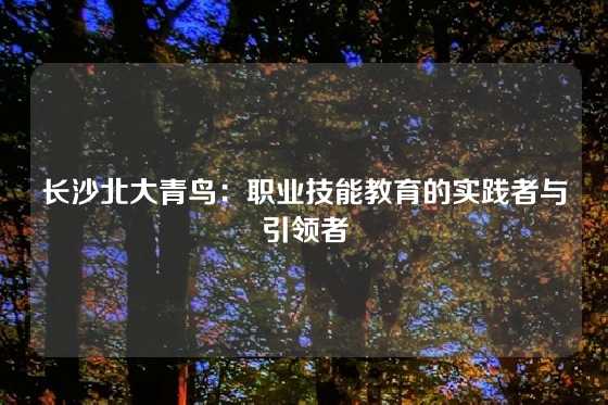 长沙北大青鸟：职业技能教育的实践者与引领者