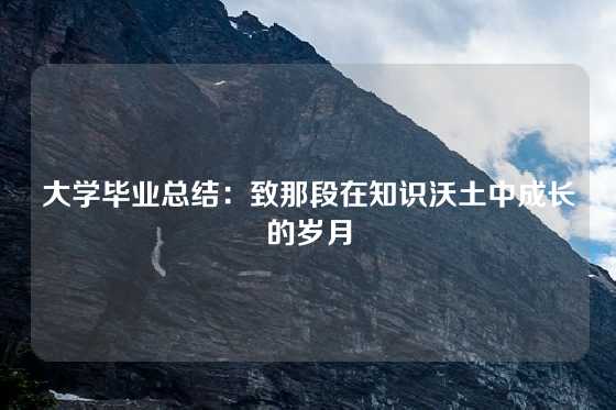 大学毕业总结：致那段在知识沃土中成长的岁月