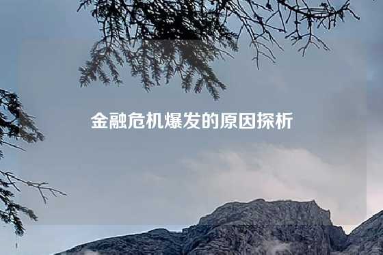 金融危机爆发的原因探析