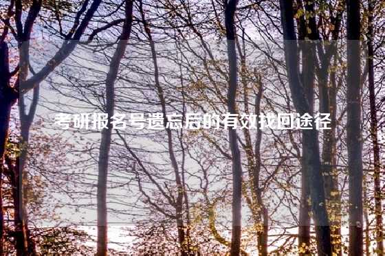 考研报名号遗忘后的有效找回途径