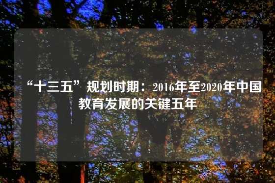“十三五”规划时期：2016年至2020年中国教育发展的关键五年